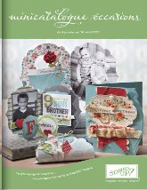 Nouveau Mini Occasions!