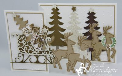 Vidéo – Carte de Noël 3D