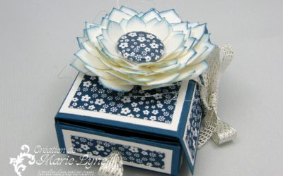 Nouvelle carte-boite Stampin&rsquo;UP!
