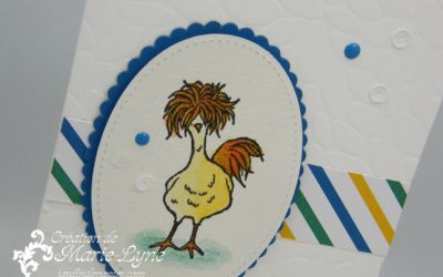 Mon poussin – Sale-A-Bration