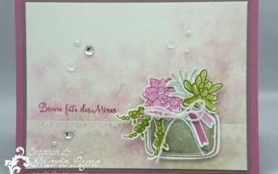 Si Succulent – Stampin&rsquo;UP!