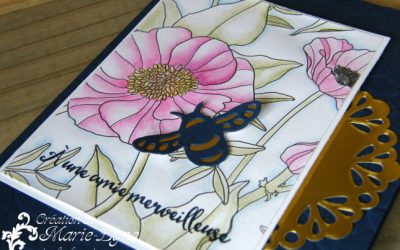Cadeau Sale-A-Bration Stampin&rsquo;UP!