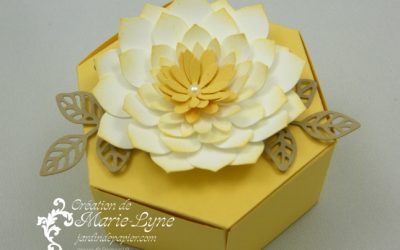 Si Succulent – Stampin&rsquo;UP!