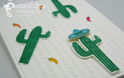 Adieu Birthday Fiesta – Stampin&rsquo;UP!