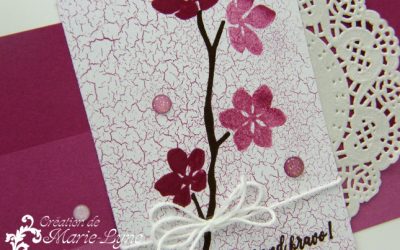 Saisons colorées – Stampin&rsquo;UP!