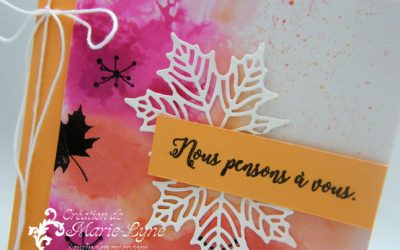 Saisons colorées – Stampin&rsquo;UP!