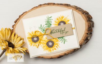 Lot Récoltes au pinceau – Stampin&rsquo;UP!