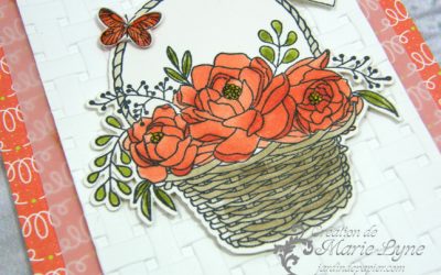 Nouveaux cadeaux Sale-A-Bration