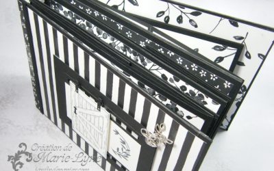 Vidéo – Cours de mini-album scrapbooking