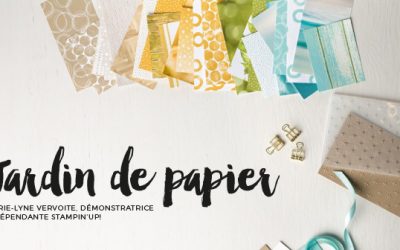 Ma rencontre avec le plagiat