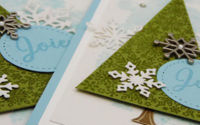 Vitrine de flocons vidéo