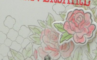 Roses grimpantes