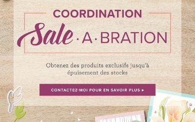 Produits coordonnés Sale-A-Bration