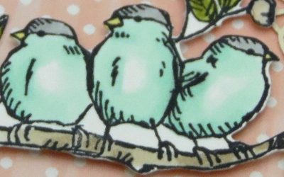 Libre comme un oiseau