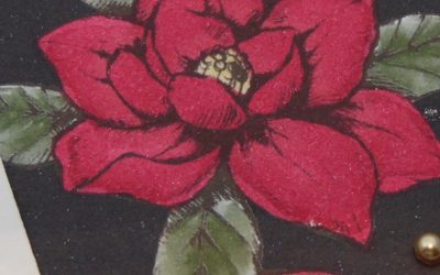 Ce que j&rsquo;aime à Noël