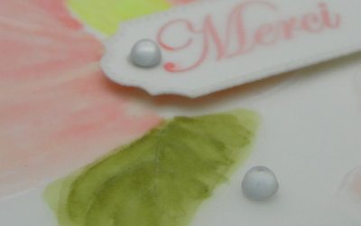 Vidéo – 100% Vélin