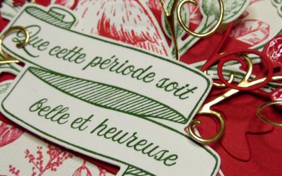 Vidéo – Carte-album cascade