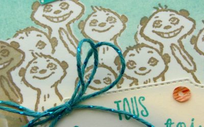 Vidéo – Un petit coucou