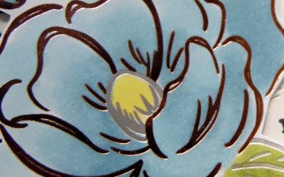 Vidéo en direct – Floraison miroitante