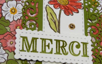 Vidéo – Carte accordéon