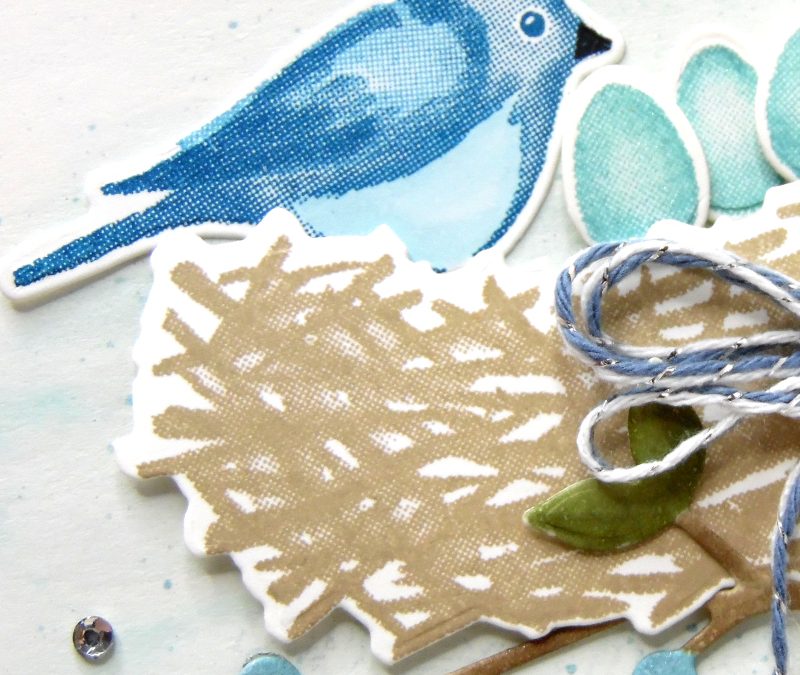 Vidéo Birds & branches – Stampin’ Up!