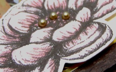 Touches d&rsquo;élégance Stampin&rsquo; Up!