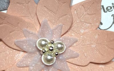 Pétales de poinsettia – Stampin&rsquo; Up!