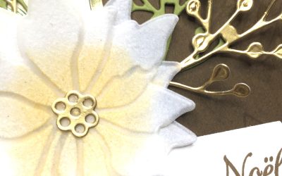 Vidéo – Marché du poinsettia