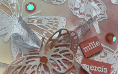 Vidéo – Bouquet de papillons