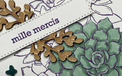 Simply succulents – Stampin’ Up!