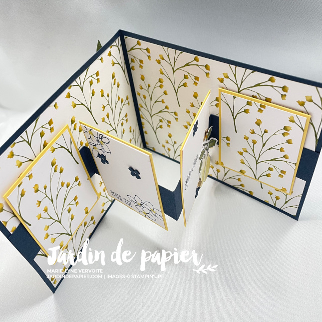 PoiresPicturales3 carte zigzag avec pochette cadeau