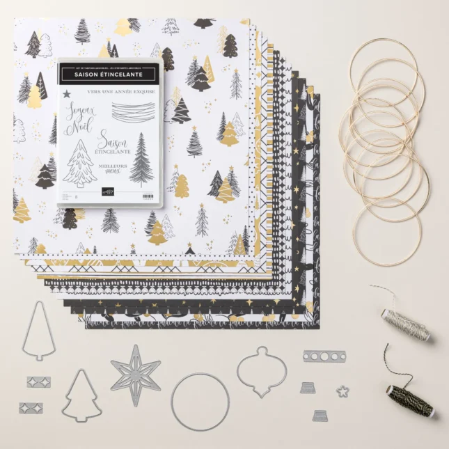 166007 carte zigzag avec pochette cadeau