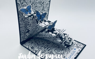 Carte Pop-Up Cascade de Papillons avec le lot Voltige amicale