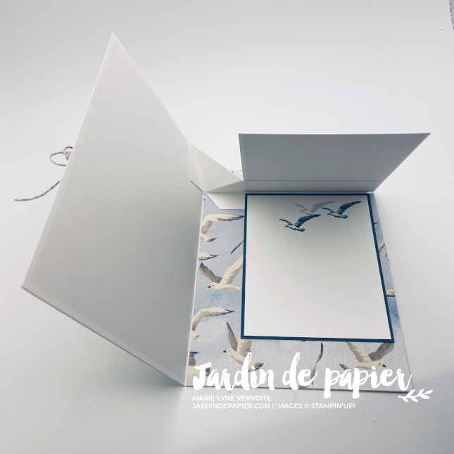 IMG_1799 carte pop-up à effet magique
