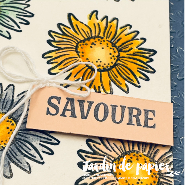 Tournesols éclatants
