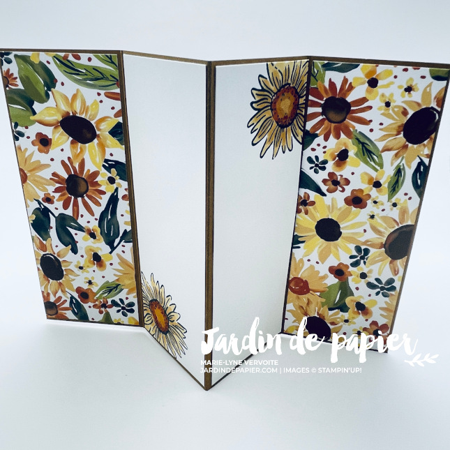 champ de tournesols